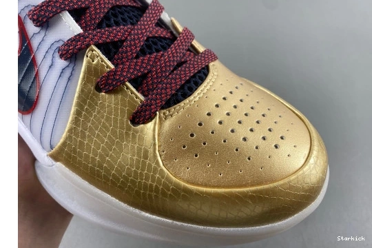 Gold Medal  4 (2024) Kobe Protro Nike  FQ3544-100 1122